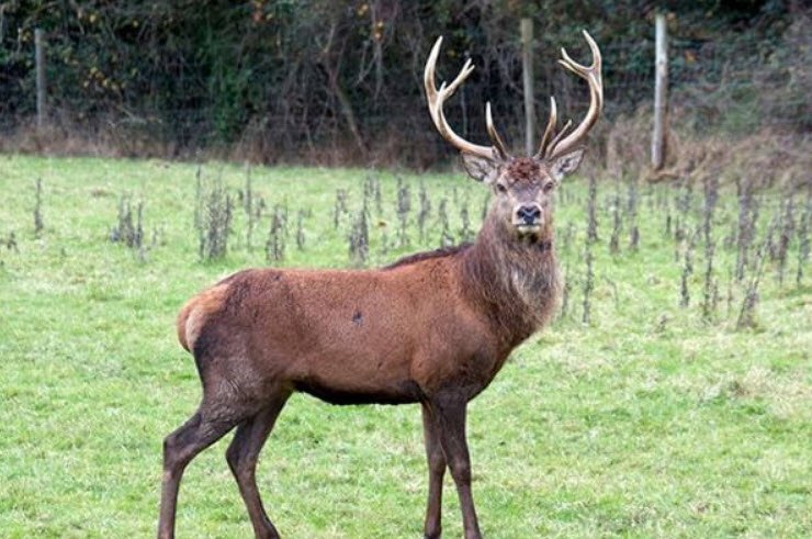 Kane Wildlife Sanctuary